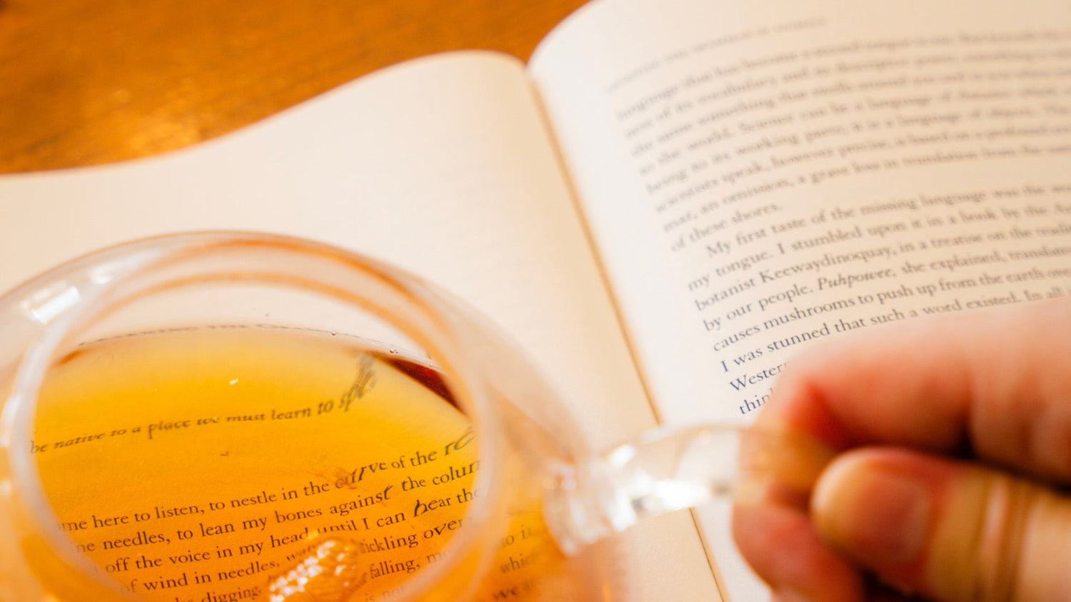 Books & Brews : Tea Pairings for Literacy Month