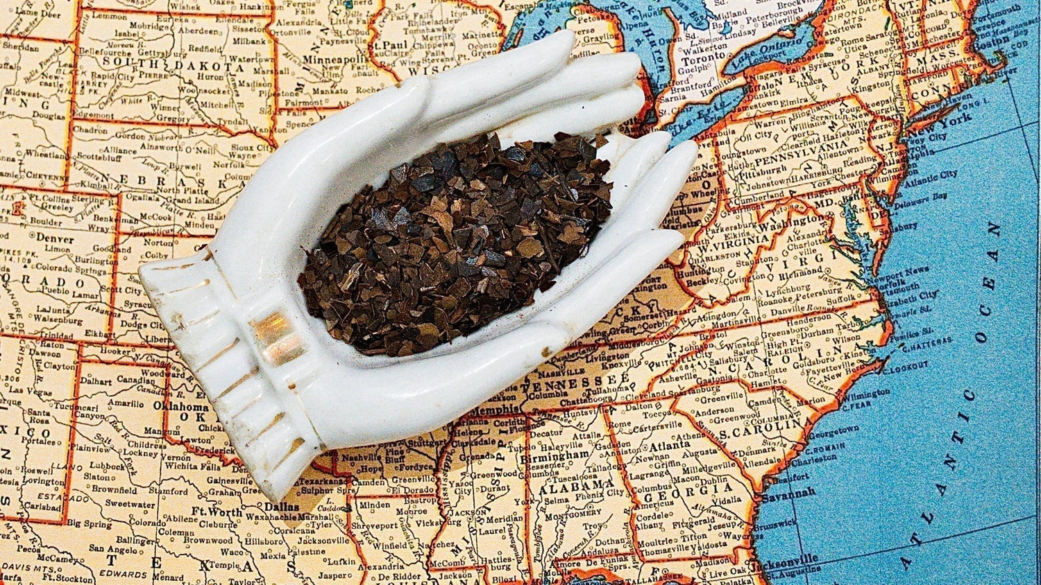 Steeped in History: The Revolutionary Tale of Tea in the U.S.