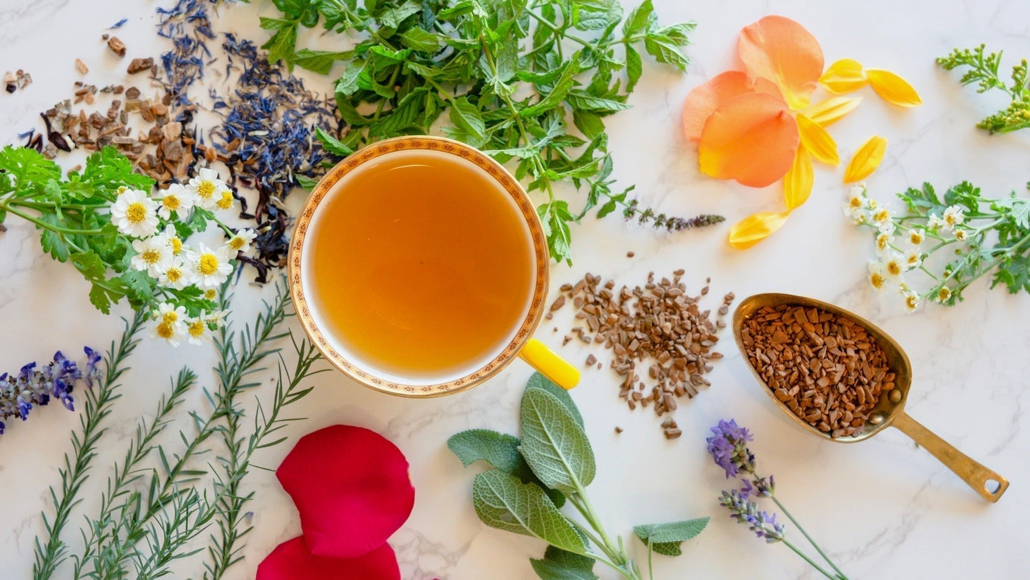 BEYOND TEA: THE WORLD OF TISANES & HERBAL BREWS