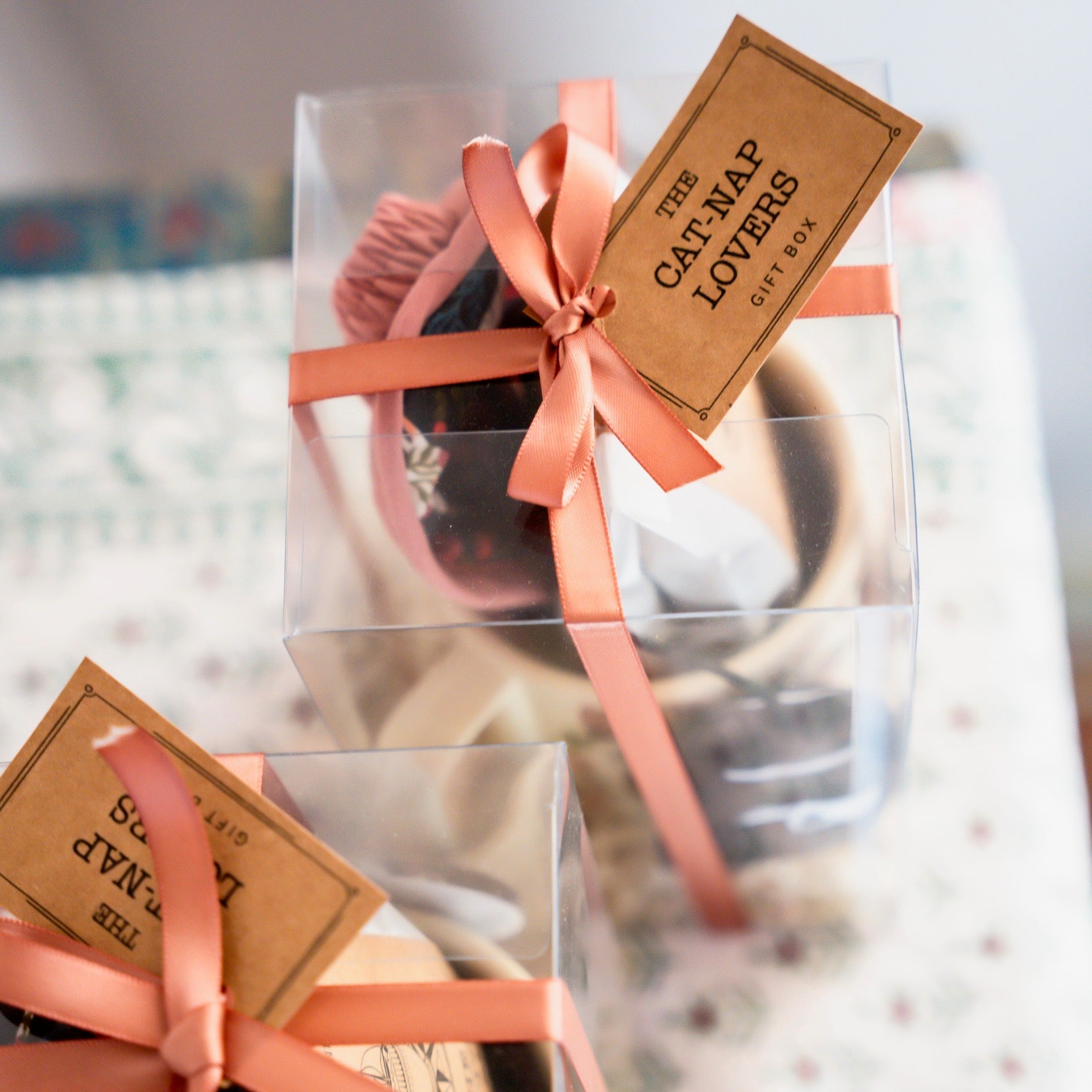 Cat-Nap Lovers Gift Box