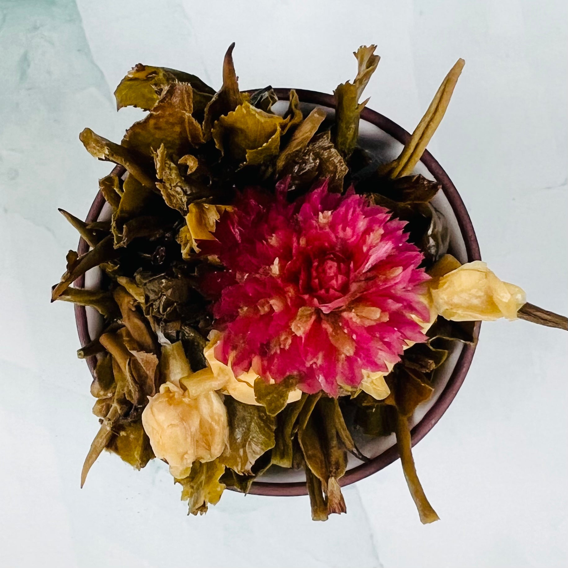 Gourmet gift Polo Warmer Wave Fab flowering tea 12 cts - Tea Beyond